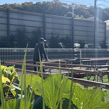 ルイーダの家ゆず　無料見学のご案内