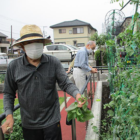 ルイーダの家ゆずフォトギャラリー